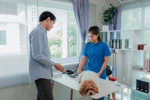 Dog-Friendly Vet Clinic in Oakland Township, MI | Faithful Friends Veterinary Care