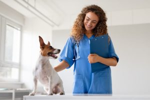Pet Wellness Exams in Oakland Township, MI | Faithful Friends Veterinary Care