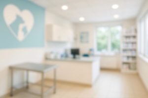 Vet Pharmacy Near Me in Oakland Township, MI | Faithful Friends Veterinary Care